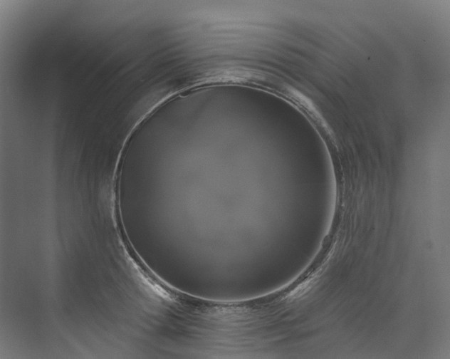 X0000073850802200608171031