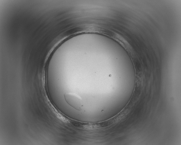 X0000073850804200608171031