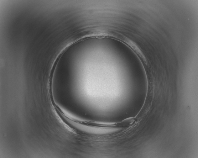 X0000073850805200608171031