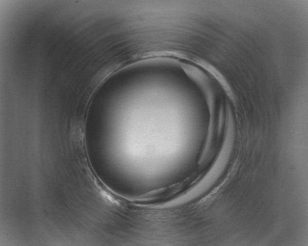 X0000073850809200608171031