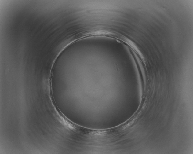 X0000073850810200608171031