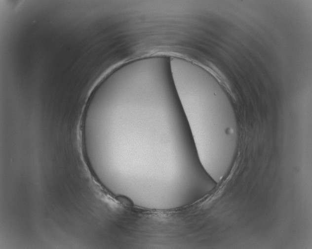 X0000073850814200608171031