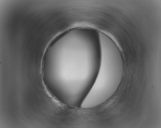 X0000073850815200608171031