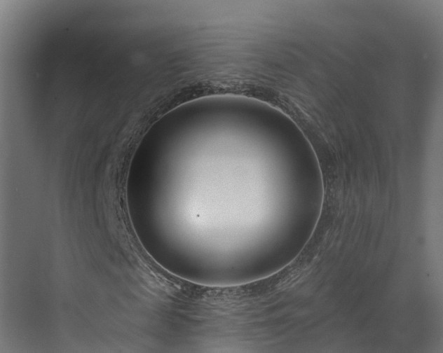 X0000073850817200608171030