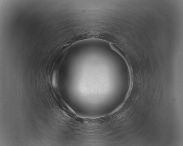 X0000073850818200608171030