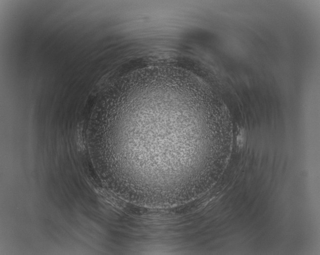 X0000073850819200608171030