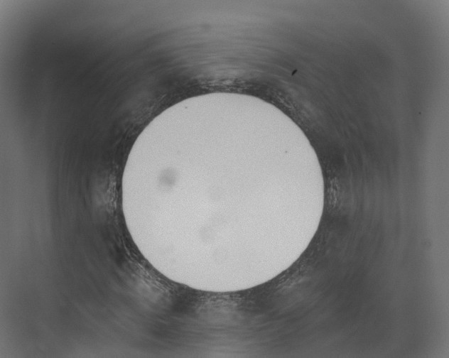 X0000073850820200608171030