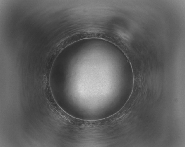 X0000073850821200608171030