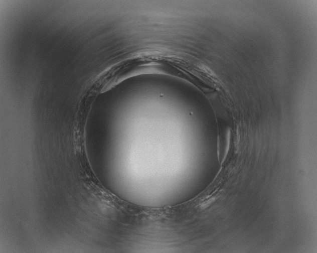 X0000073850822200608171030