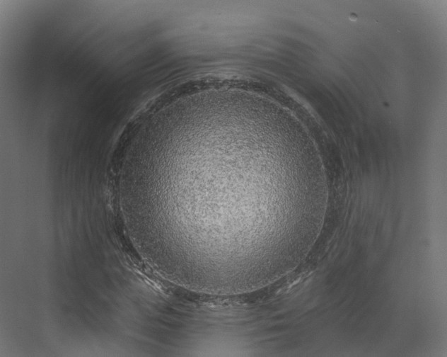 X0000073850823200608171030