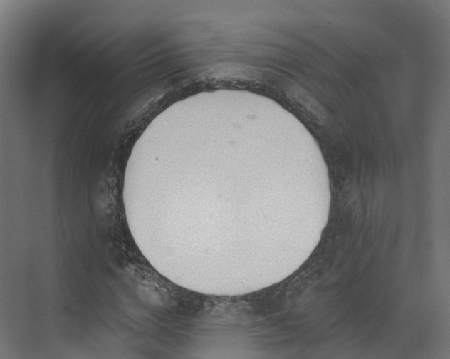 X0000073850824200608171030