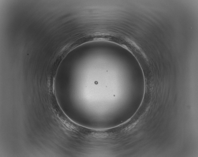 X0000073850825200608171030