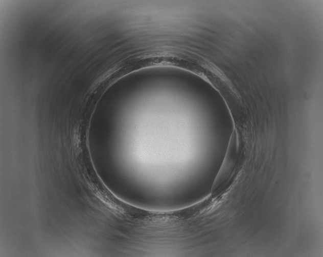 X0000073850826200608171030