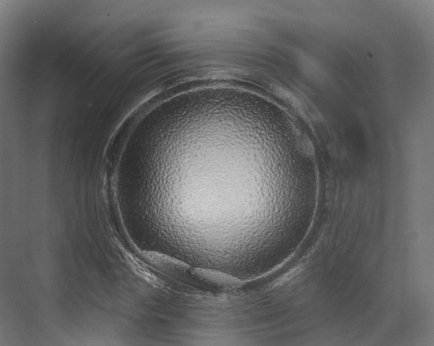 X0000073850827200608171030