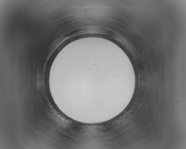 X0000073850828200608171030