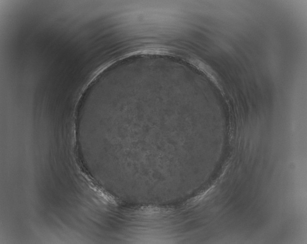 X0000073850829200608171030