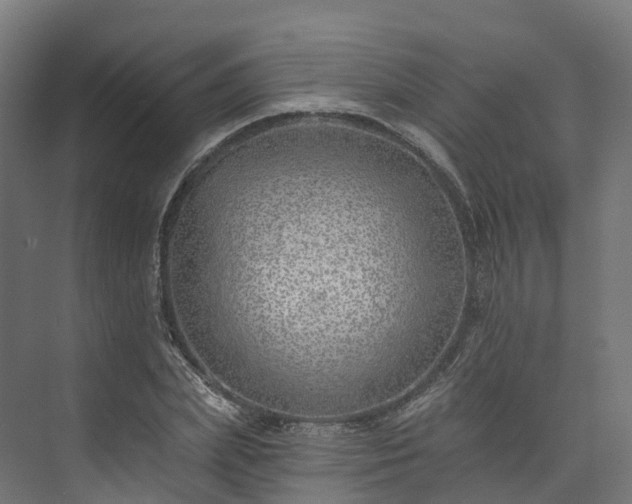 X0000073850831200608171030