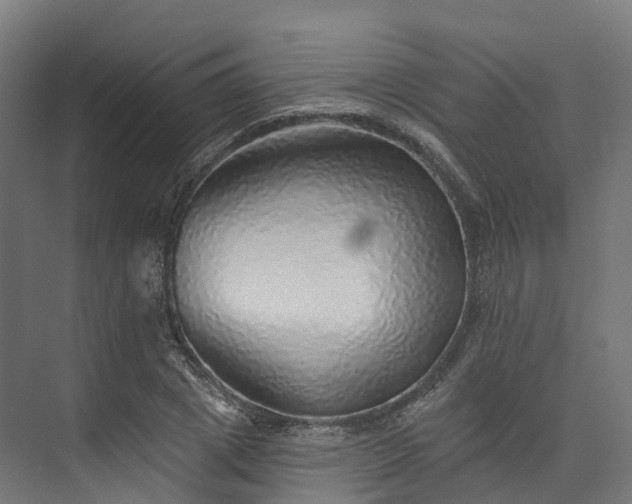 X0000073850833200608171030