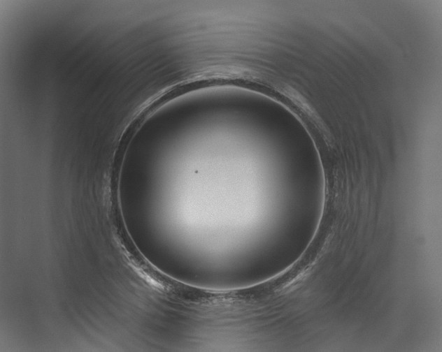 X0000073850834200608171030