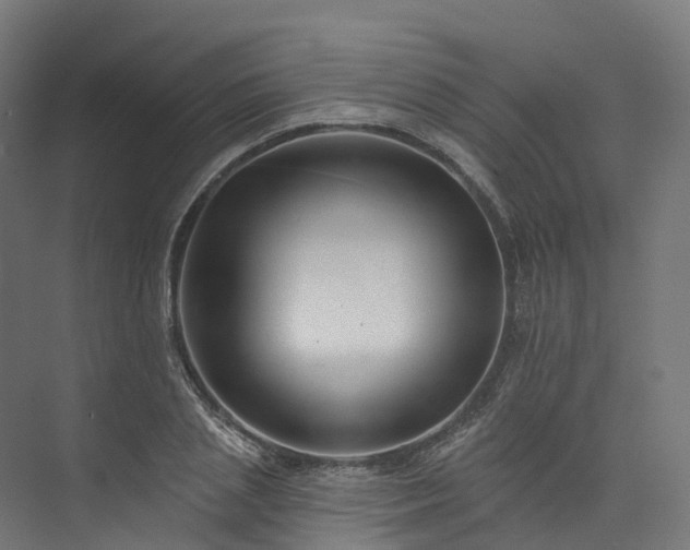 X0000073850837200608171030