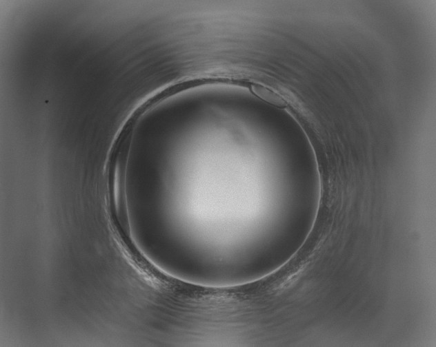 X0000073850838200608171030