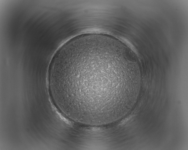 X0000073850839200608171030