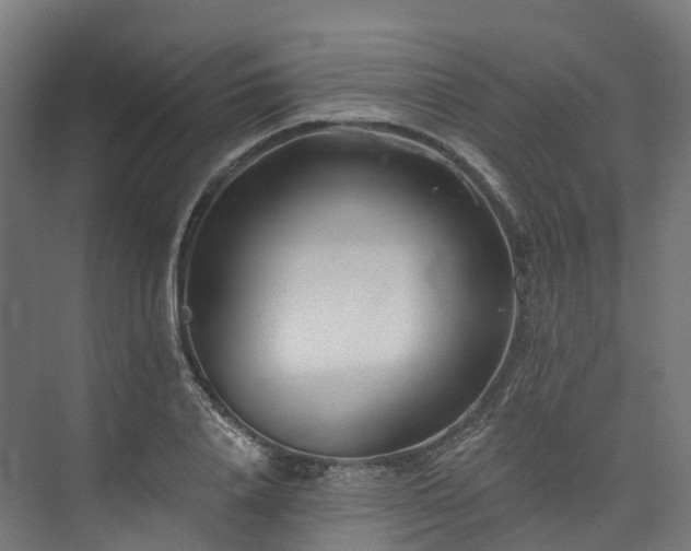 X0000073850840200608171031