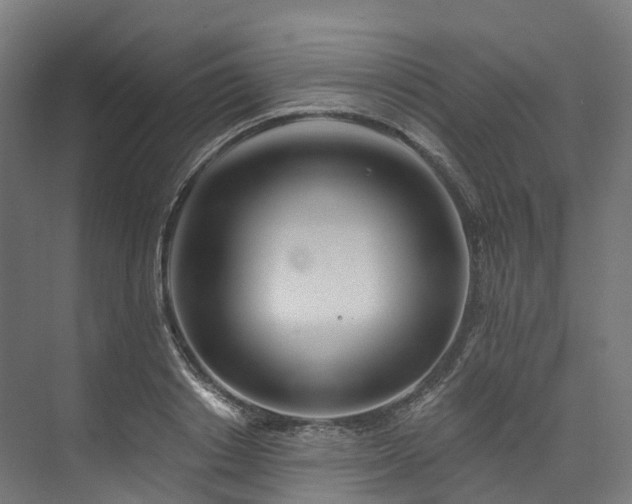 X0000073850842200608171031