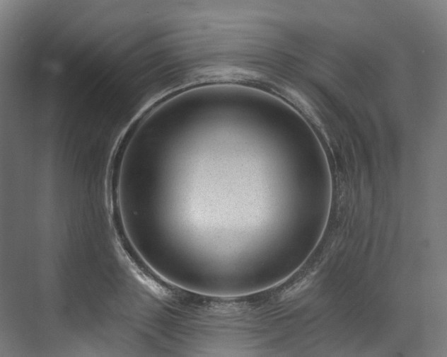 X0000073850843200608171031