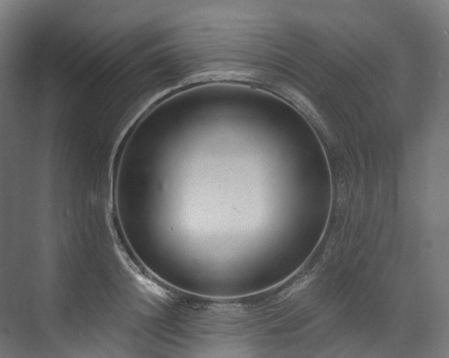 X0000073850844200608171031