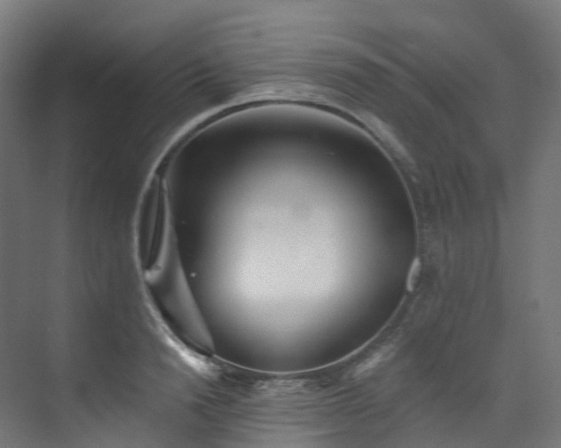 X0000073850846200608171031