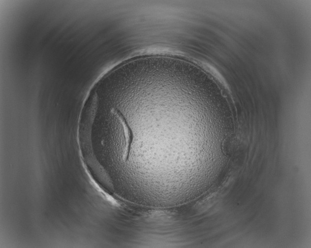 X0000073850847200608171031