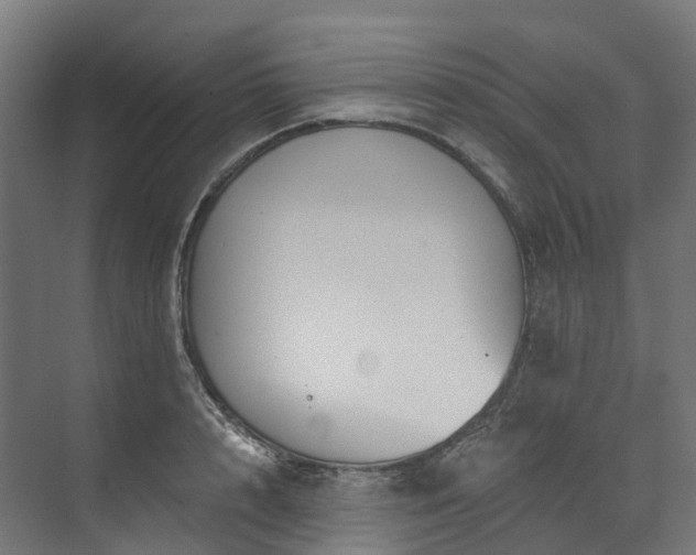 X0000073850848200608171031