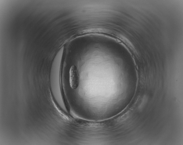 X0000073850849200608171031