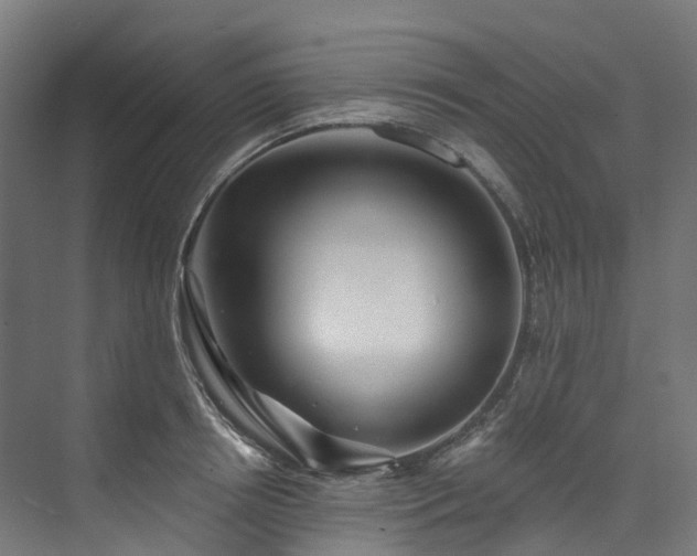 X0000073850850200608171031