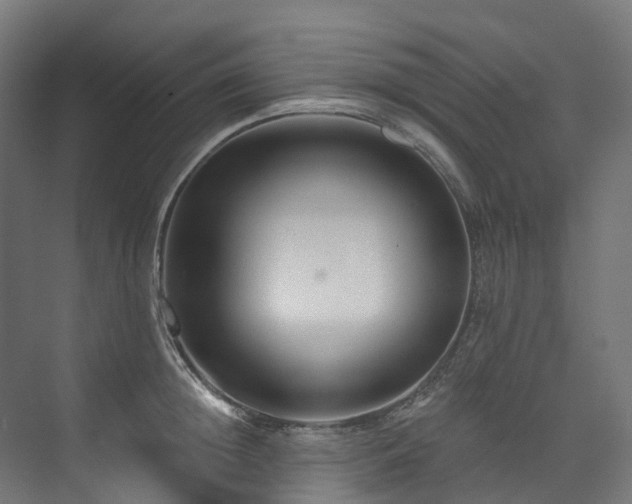 X0000073850852200608171031