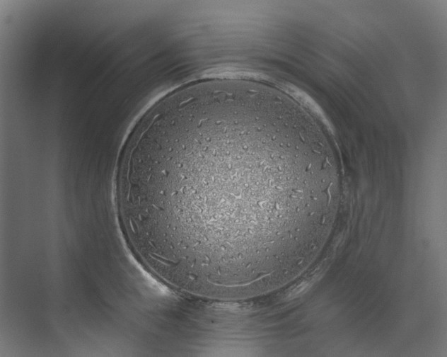 X0000073850855200608171031