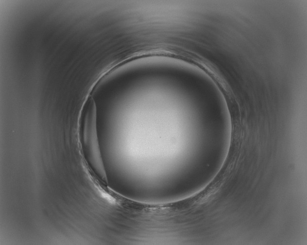 X0000073850858200608171031