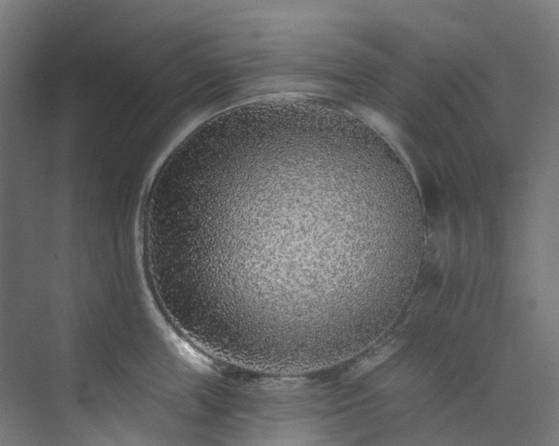 X0000073850859200608171031