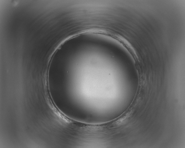 X0000073850860200608171031