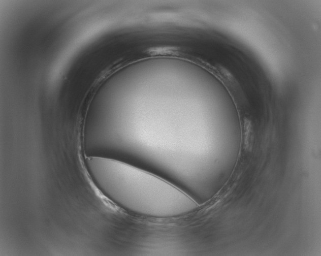 X0000073850861200608171031