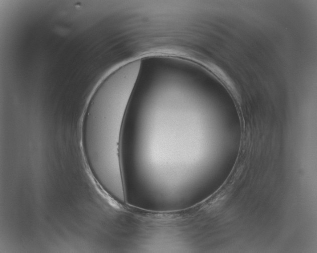 X0000073850862200608171031