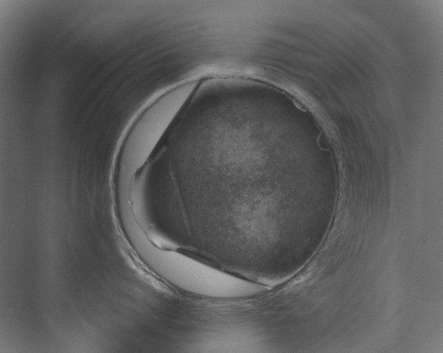 X0000073850864200608171031