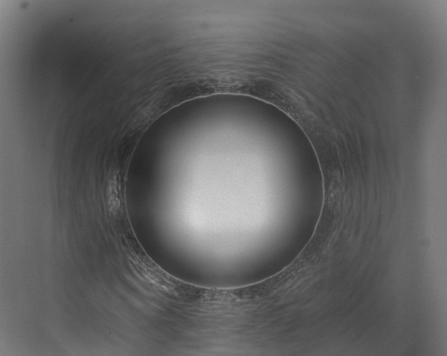 X0000073850866200608171030