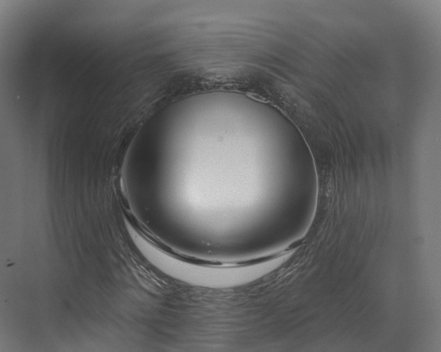 X0000073850868200608171030