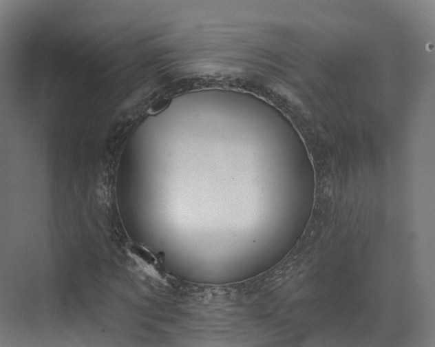 X0000073850869200608171030