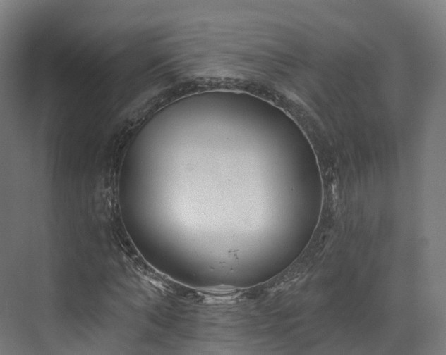 X0000073850870200608171030