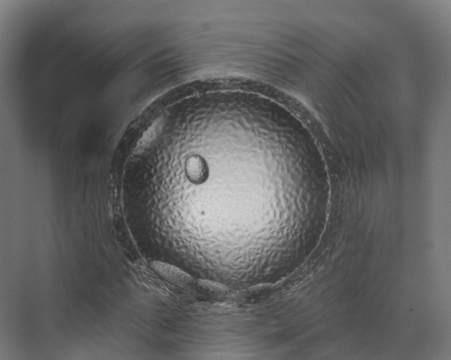 X0000073850871200608171030