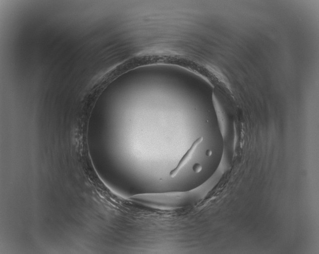 X0000073850872200608171030