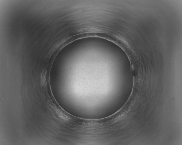 X0000073850873200608171030